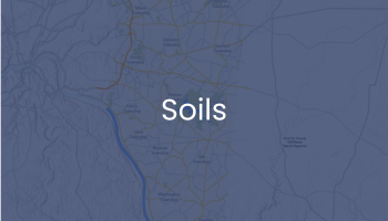GIS Map